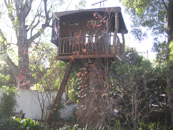 treehouse 